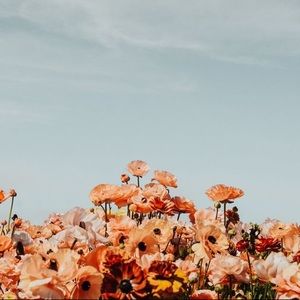 Meet your Posher, Madalene